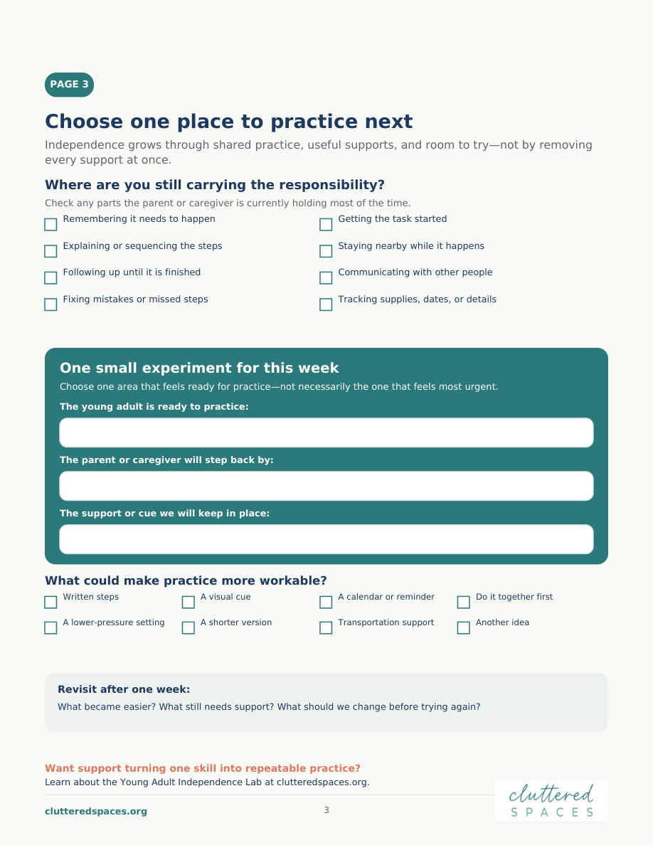 Young Adult Independence Skills Check-In: original page 3 preview