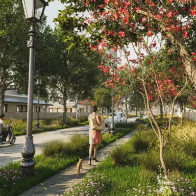 Flowering trees beside a lamppost on a walking path
